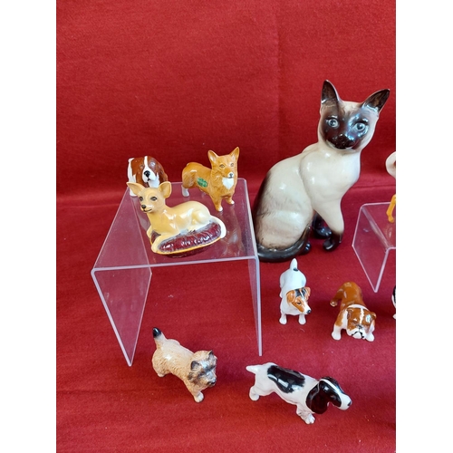 259 - Very nice collection of Beswick dogs, cat and horse.