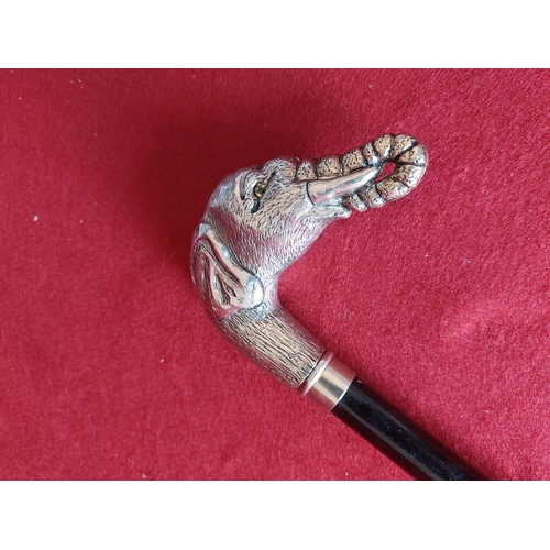 293 - Elephant head handle walking stick.