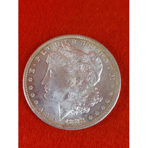 120 - 1883 Silver Dollar.O