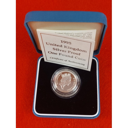 140 - Silver proof 1995 �1 coin.