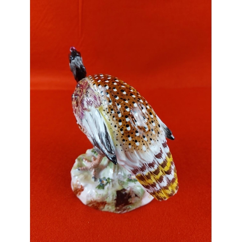 170 - 19th Century german porcelain game bird (Peahen) believed to be Volkstedt. Height 15.5cm width 16cm.