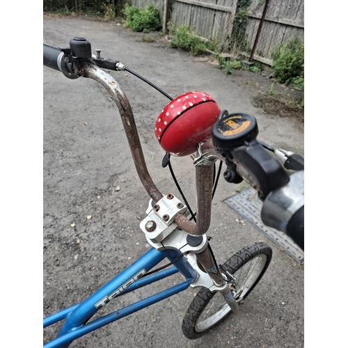 204 - Triad trike pedal bike