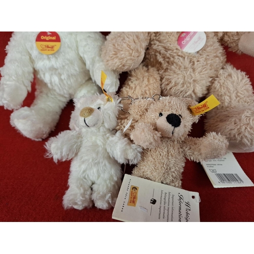 262 - 4 official Steiff teddybears 2 x teddys & 2 x keyrings