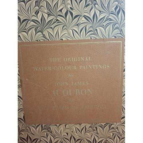 324 - 2 volumes Original watercolour paintings by James Adubon. 1966.