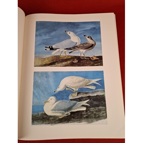 324 - 2 volumes Original watercolour paintings by James Adubon. 1966.