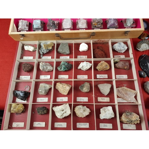 332 - Large mineral, stone & fossil collection