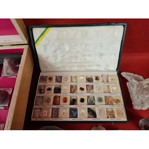 332 - Large mineral, stone & fossil collection