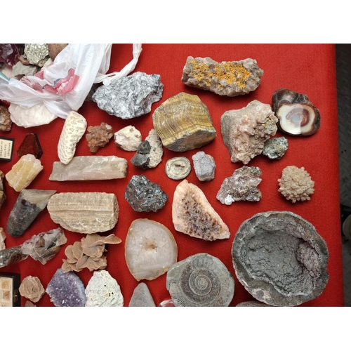 332 - Large mineral, stone & fossil collection