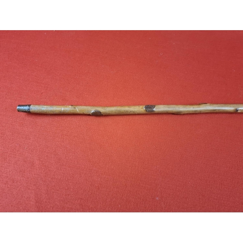 142 - Very possibly a unique one off silver hallmarked walking stick. Dated 1856 and also enscribed 