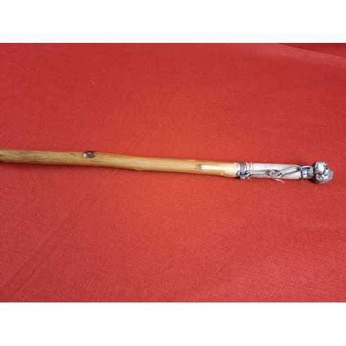 142 - Very possibly a unique one off silver hallmarked walking stick. Dated 1856 and also enscribed 