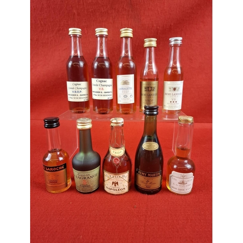Lot 1         