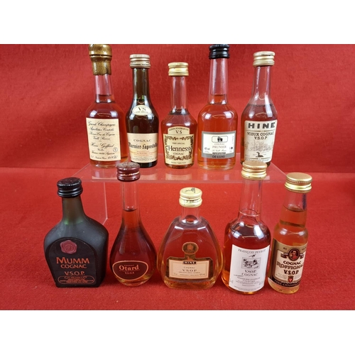 Lot 10        
