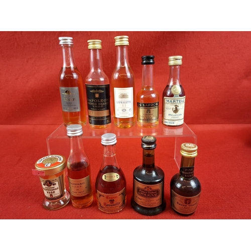 Lot 11        
