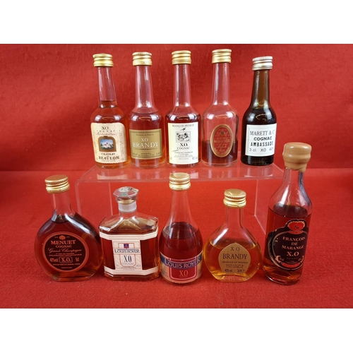 Lot 12        