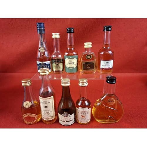 Lot 13        