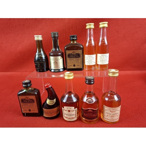 Lot 14        