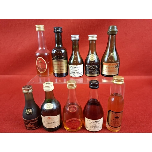 Lot 16        
