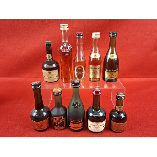 Lot 19        