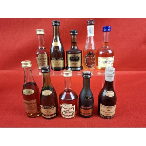 Lot 20        