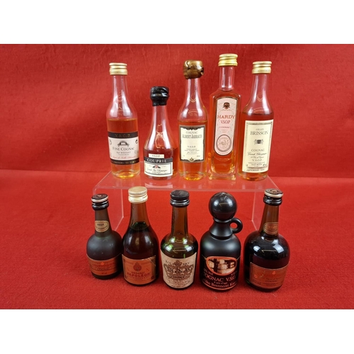 Lot 26        