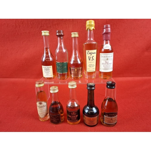 Lot 27        