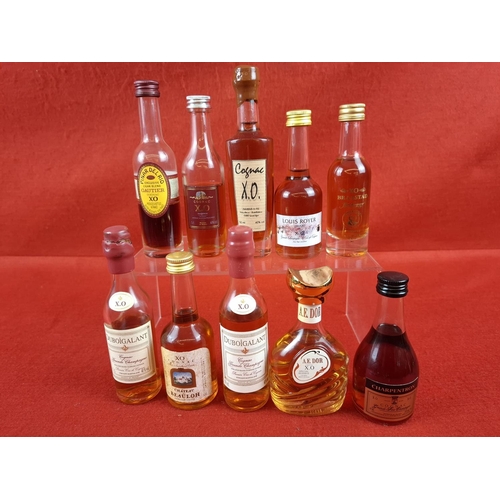 Lot 28        