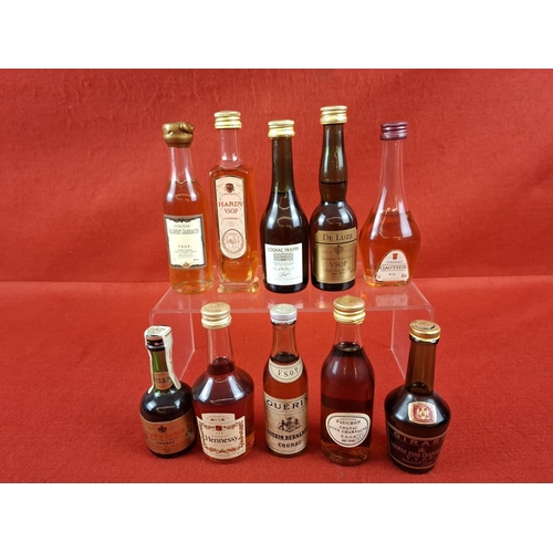 Lot 29        