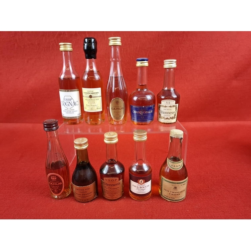 Lot 34        