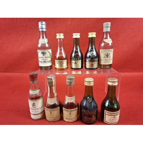 Lot 35        