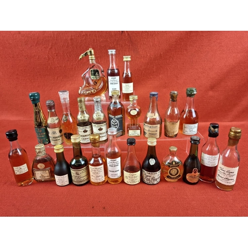 Lot 36        