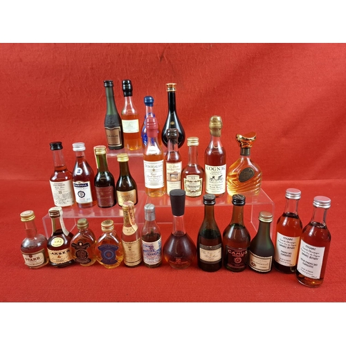Lot 37        