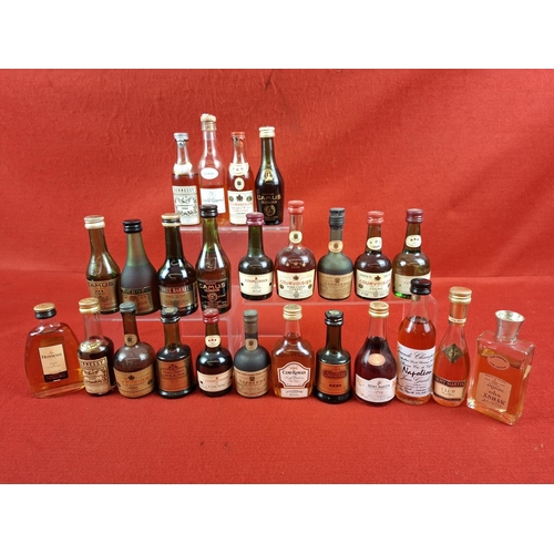 Lot 38        