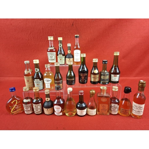 Lot 39        