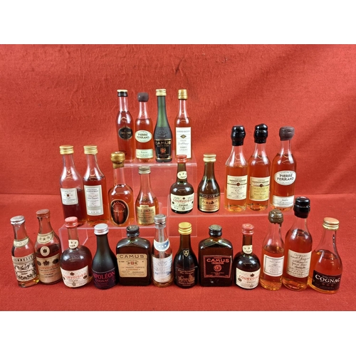 Lot 40        