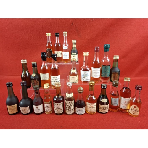 Lot 41        