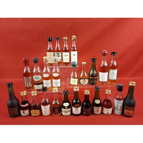 Lot 43        
