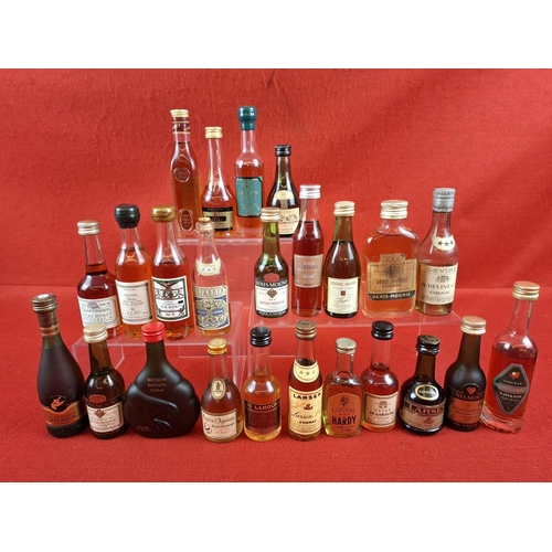 Lot 44        