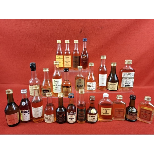 Lot 45        