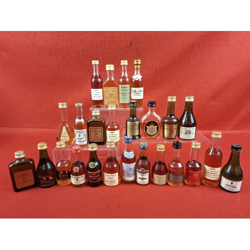 Lot 46        