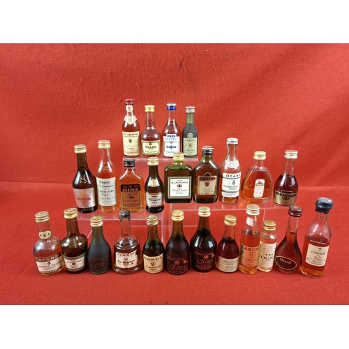 Lot 47        