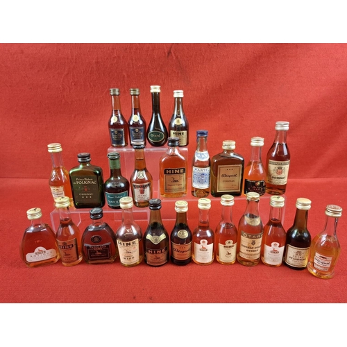 Lot 48        