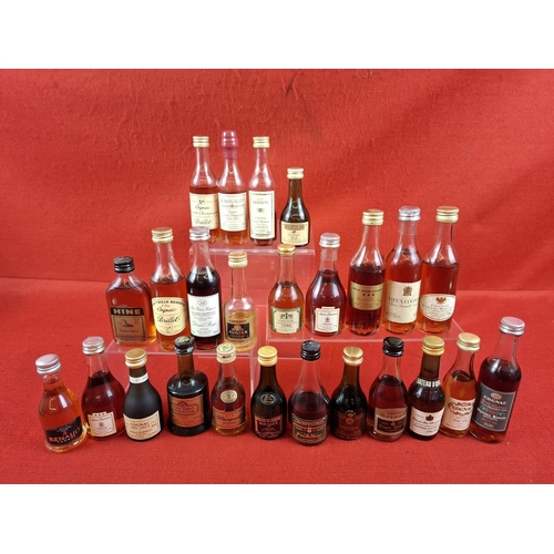 Lot 49        
