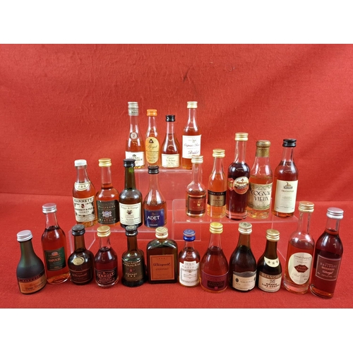 Lot 51        