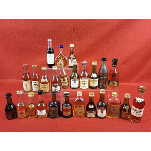 Lot 53        