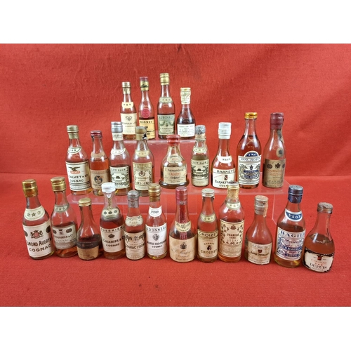 Lot 55        
