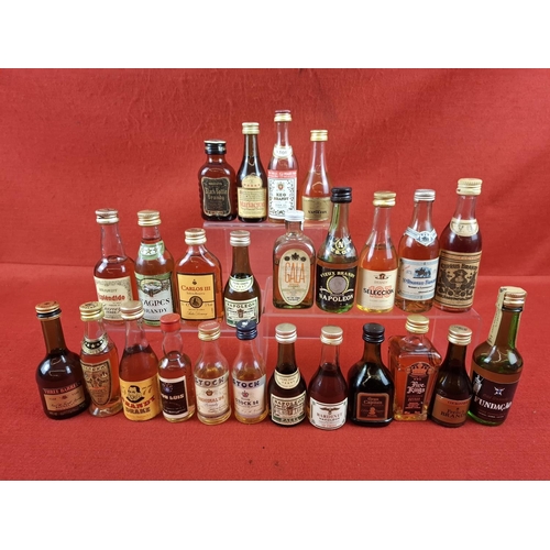 Lot 60        
