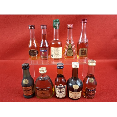 Lot 7         