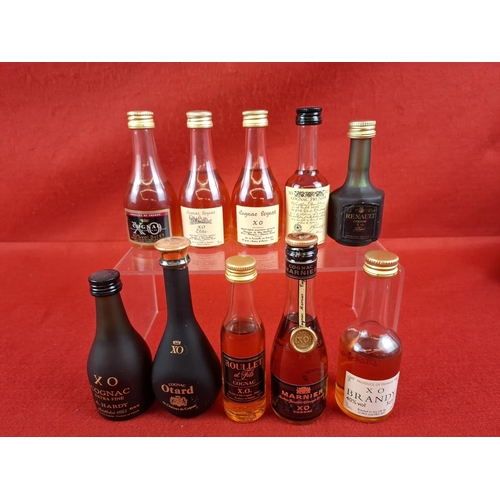 Lot 8         