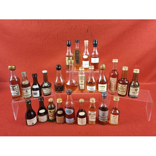 Lot 42        
