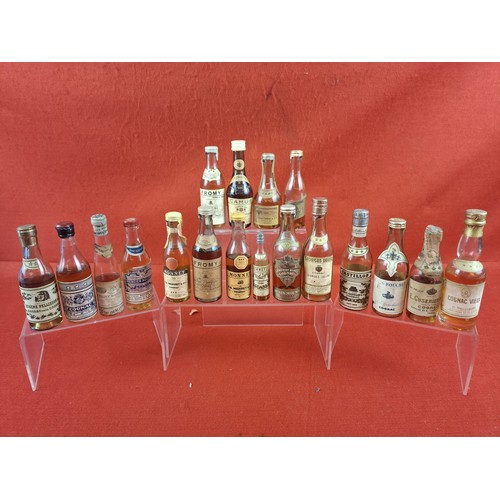 Lot 56        